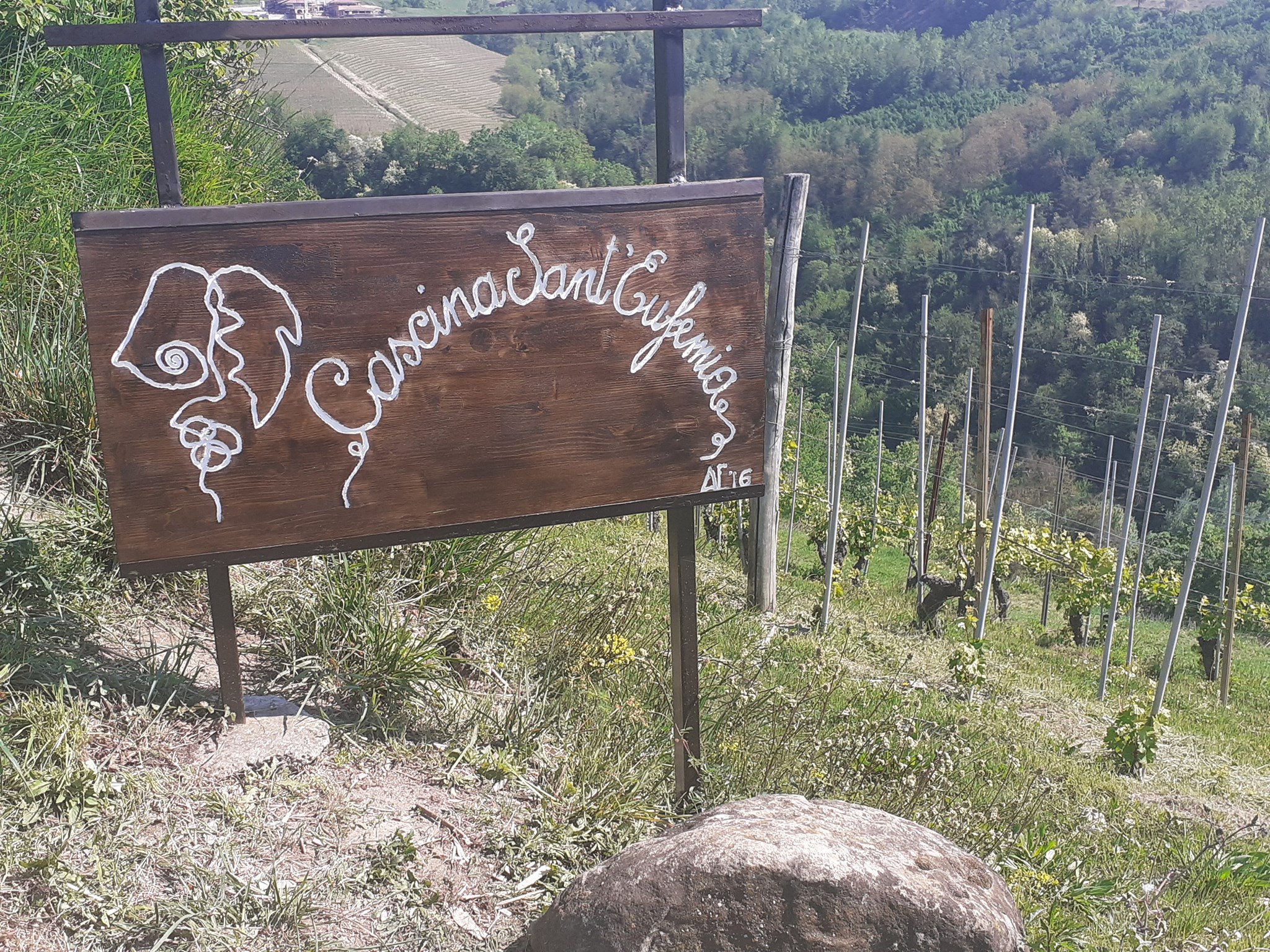 Siamo a Sinio, quasi in Alta Langa, una cascina immersa tra le vigne