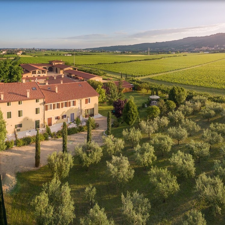 Selene e Camilla ci accompagnano nei vigneti dove producono l'Amarone della Valpolicella con tecnologie avanzate e tradizione.