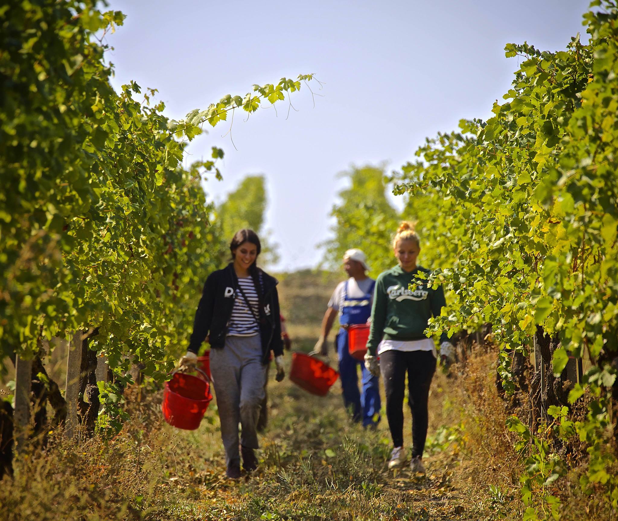 La cantina Raia, partner BikeSquare sul territorio del Monferrato