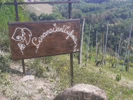 blog, Pedalando come Gino Bartali (in ebike) fino a Cascina Sant'Eufemia
