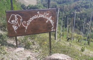 blog, Pedalando come Gino Bartali (in ebike) fino a Cascina Sant'Eufemia