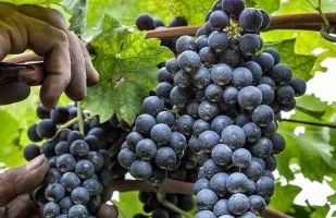 blog, Tenuta Salvaterra e BikeSquare