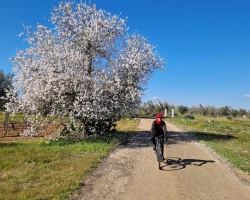 blog, Ciclonica: la ciclovia del Salento Ionico