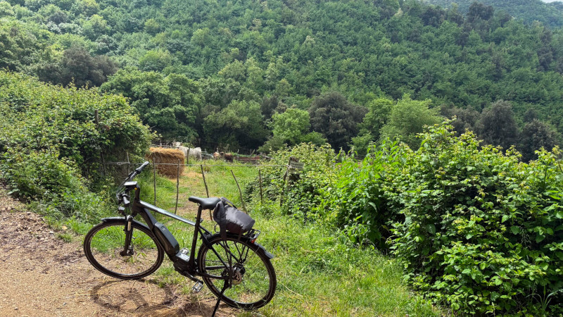 bici elettrica in Sabina